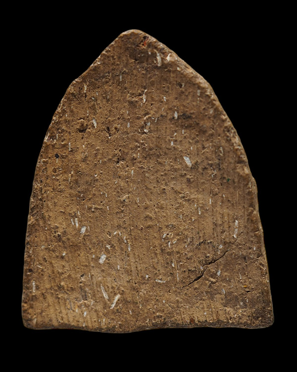 พระหลวงพ่อโต บางกระทิง เนื้อดินปนแกลบ พระเก่าสวย พระบ้าน เนื้อหาส่องมันส์  ไม่ทราบที่ - 2