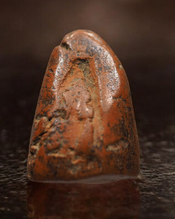 พระพิมพ์ชินราช (พิมพ์เล็ก) ยุคแรกๆ หลวงพ่อถิร วัดป่าเลไลยก์ สุพรรณบุรี สร้างจากเนื้อพระกรุเก่าของสุพ - 2