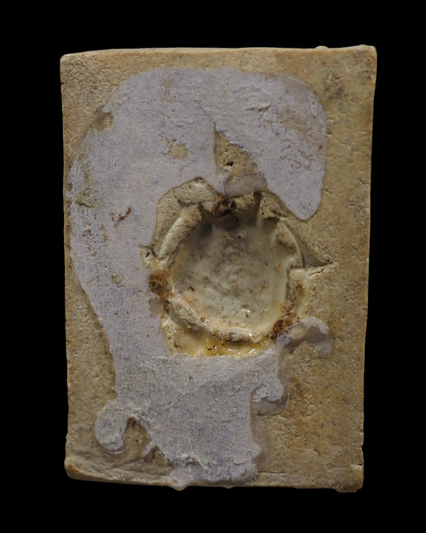 สมเด็จ หลังประทับตราแผ่นดิน ปี ๒๕๐๙ วัดอรุณราชวราราม หลวงพ่อเงิน หลวงปู่นาค หลวงพ่อเต๋ ปลุกเสก   “ ส - 3