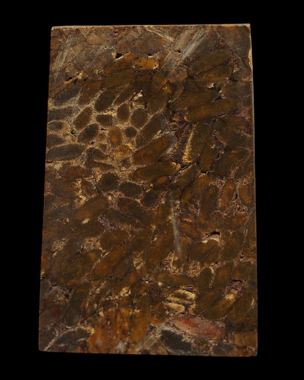 พระสมเด็จข้าวสารหิน รุ่นพิเศษ หนึ่งศตวรรษ หลวงปู่บุดดา ถาวโร วัดกลางชูศรีเจริญสุข จ.สิงห์บุรี ปี 253 - 3