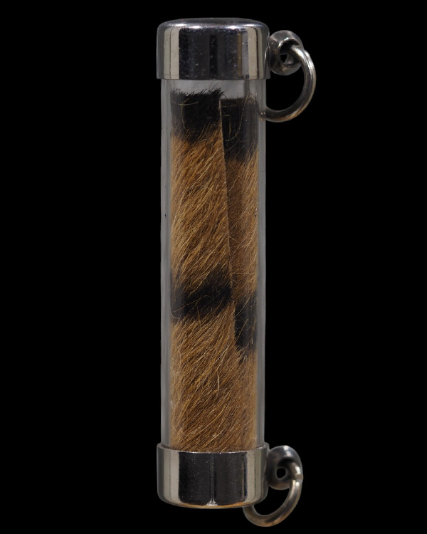 ตะกรุดหนังเสือ เก่ามีอายุ ไม่ทราบเกจิ พระบ้าน  เก่าสวย - 3