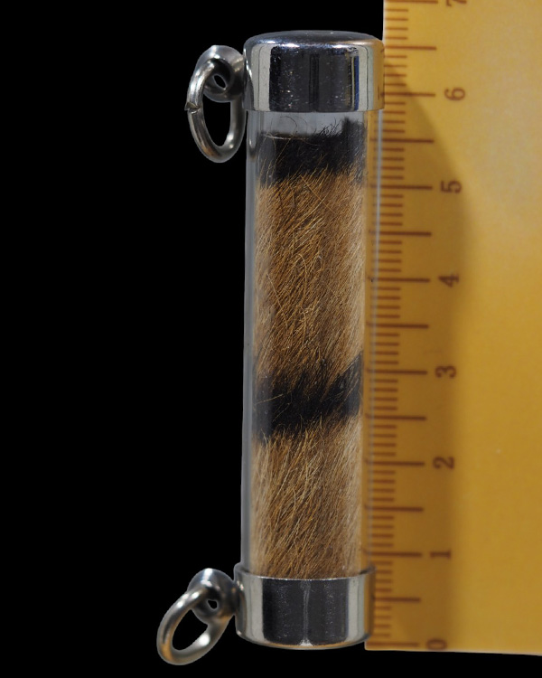 ตะกรุดหนังเสือ เก่ามีอายุ ไม่ทราบเกจิ พระบ้าน  เก่าสวย - 4