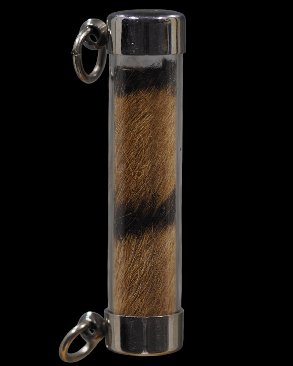 ตะกรุดหนังเสือ เก่ามีอายุ ไม่ทราบเกจิ พระบ้าน  เก่าสวย - 5