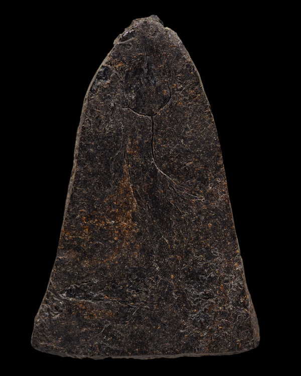 พระพิมพ์โคนสมอเนื้อผสมว่านจำปาสัก ว่านยาวิเศษ 108 ชนิด ยางไม้ ฯลฯ เป็นพระมากประสพการณ์ มีผลทางคงกระ - 3