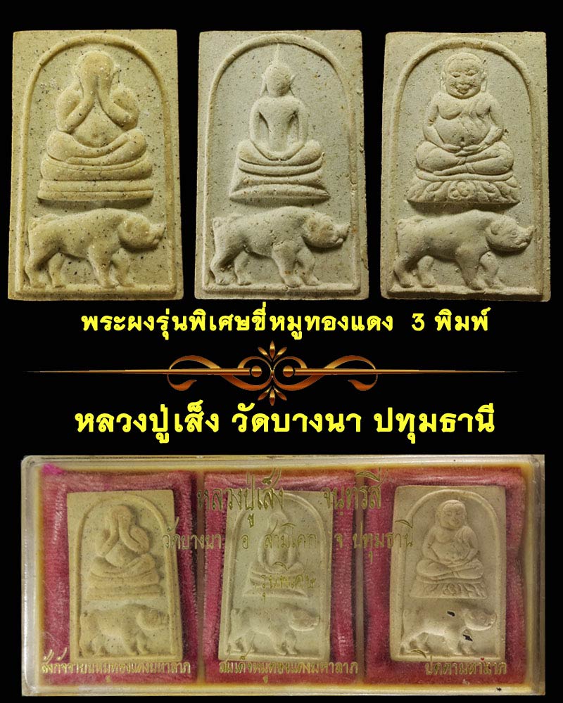 พระผงรุ่นพิเศษขี่หมูทองแดง หลวงพ่อเส็ง วัดบางนา - 1