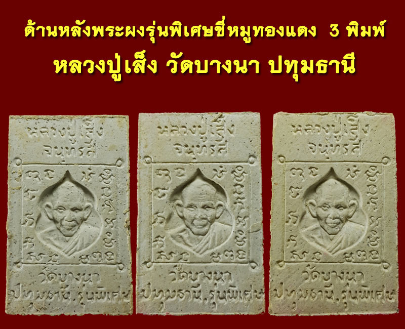 พระผงรุ่นพิเศษขี่หมูทองแดง หลวงพ่อเส็ง วัดบางนา - 5