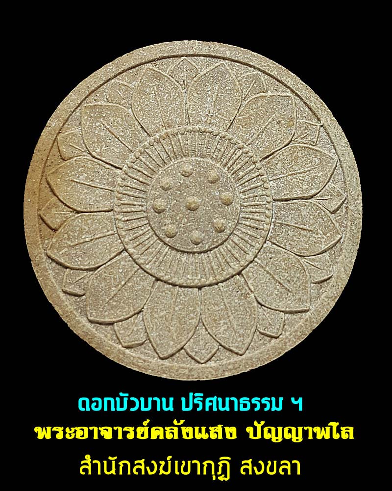 ดอกบัวบาน พระอาจารย์ คลังแสง ปัญญาพโล สำนักสงฆ์เขากุฏิ สงขลา - 1