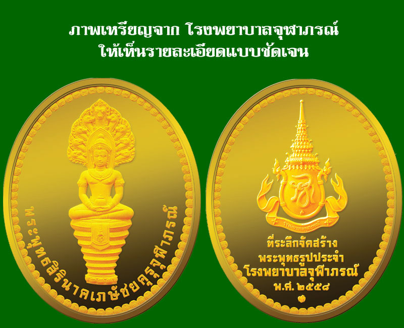 เหรียญ พระพุทธเจ้าแห่งการรักษาโรค - 5