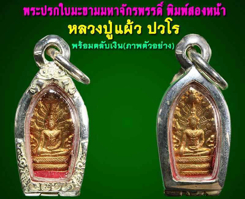 พระปรกใบมะขาม พิมพ์สองหน้า หลวงปู่แผ้ว ปวโร 1 - 4