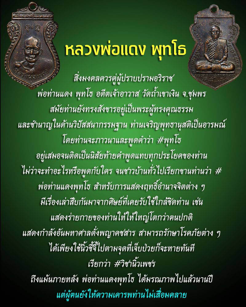 เหรียญ หลวงพ่อ แดง พุทโธ หลัง พ่อท่านคล้อย วัดถ้ำเขาเงิน ชุมพร - 1