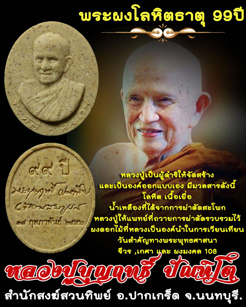 พระผงโลหิตธาตุ 99 ปี หลวงปู่ บุญฤทธิ์ - 1