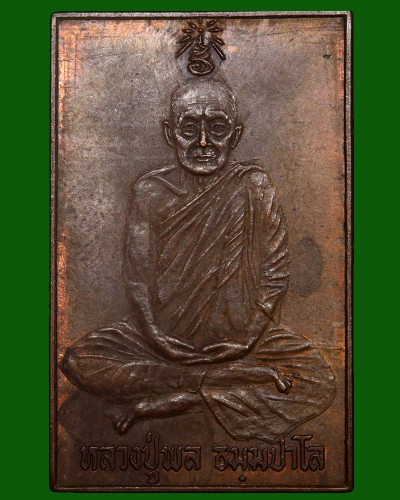 เหรียญ หลวงปู่พล วัดหนองคณฑี หลังพระนาคปรก - 2