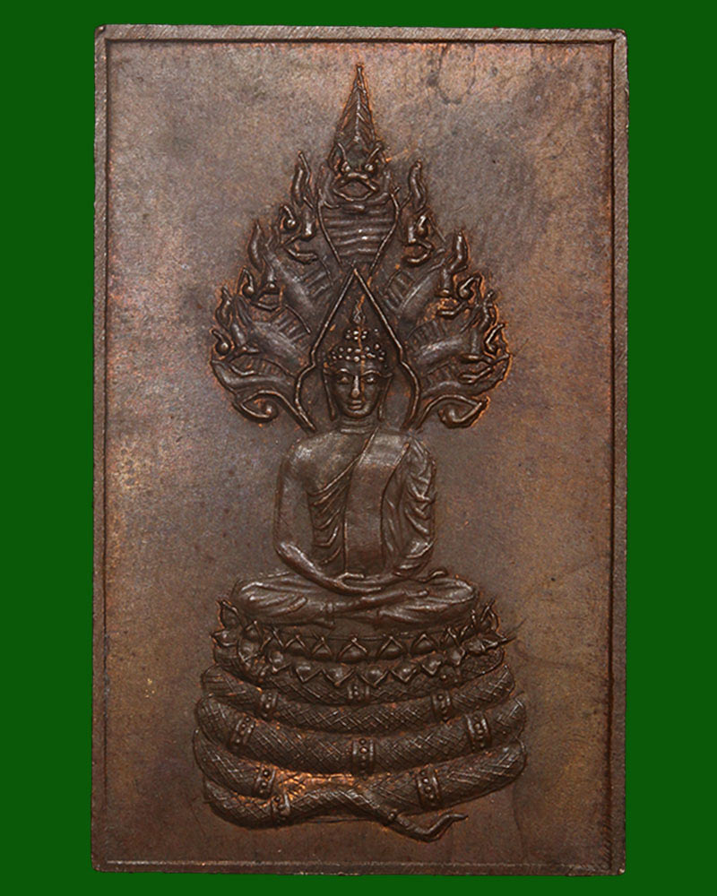 เหรียญ หลวงปู่พล วัดหนองคณฑี หลังพระนาคปรก - 3
