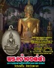 เหรียญ  พระเ้จ้าองค์คำ  วัดร่องคือ จ.พะเยา