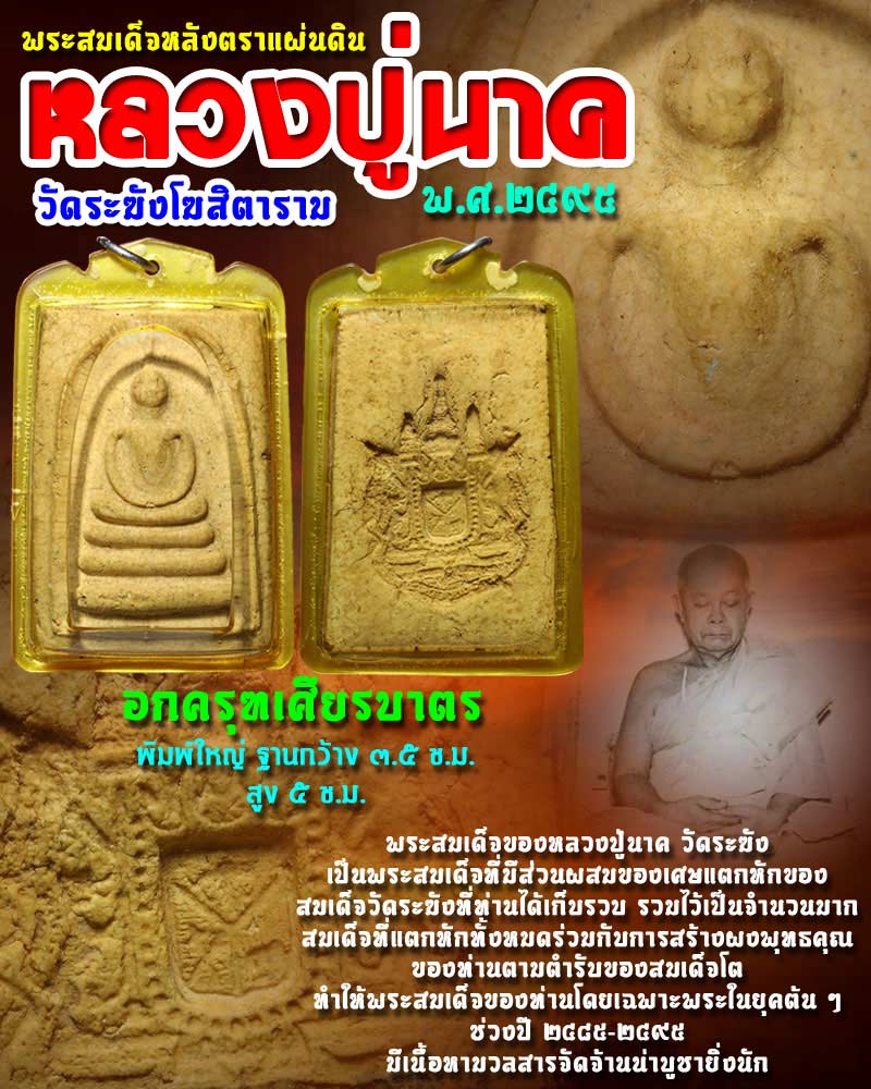 พระสมเด็จหลวงปู่นาค หลังตราแผ่นดิน ปี 2495 - 1
