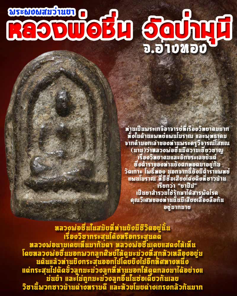 พระผงผสมว่านยาหลวงพ่อชื่น วัดป่ามุนี - 1