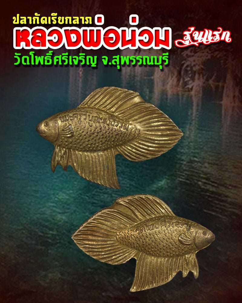 ปลากัดเรียกลาภ รุ่นแรก หลวงพ่อน่วม วัดโพธิ์ศรีเจริญ จ.สุพรรณบุรี - 1