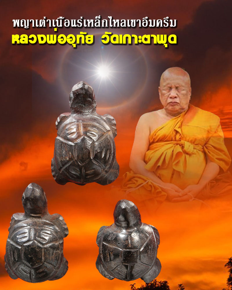 พญาเต่าเรือน แกะจากโครตเหล็กไหลเขาอึมครึม หลวงพ่ออุทัย วัดเกาะตาพุด - 1