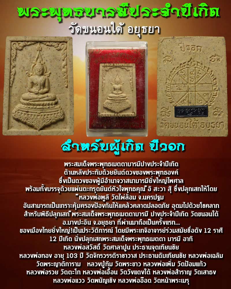 พระพุทธเมตตาบารมี ประจำปีเกิด วัดขนอนใต้ อยุธยา - 1