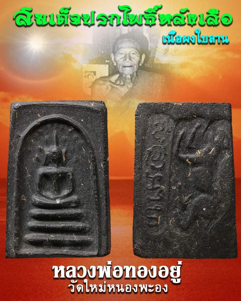 พระสมเด็จ ปรกโพธิ์ หลังเสือ หลวงพ่อ ทองอยู่ วัดใหม่หนองพะอง เนื้อใบลาน - 1