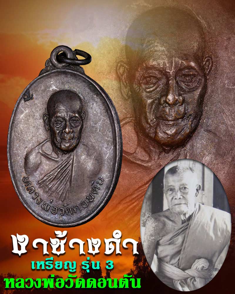 หลวงพ่อ วัดดอนตัน งาช้างดำ - 1
