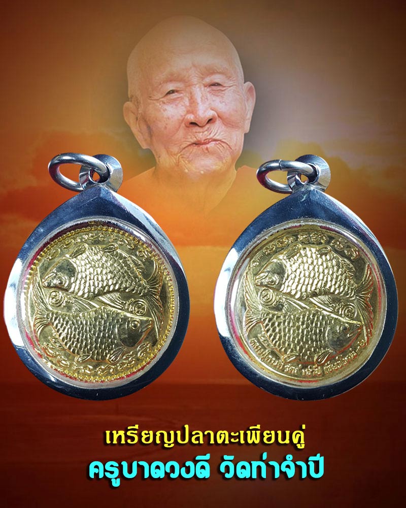 เหรียญปลาตะเพียนคู่  ครูบาดวงดี วัดท่าจำปี  - 1