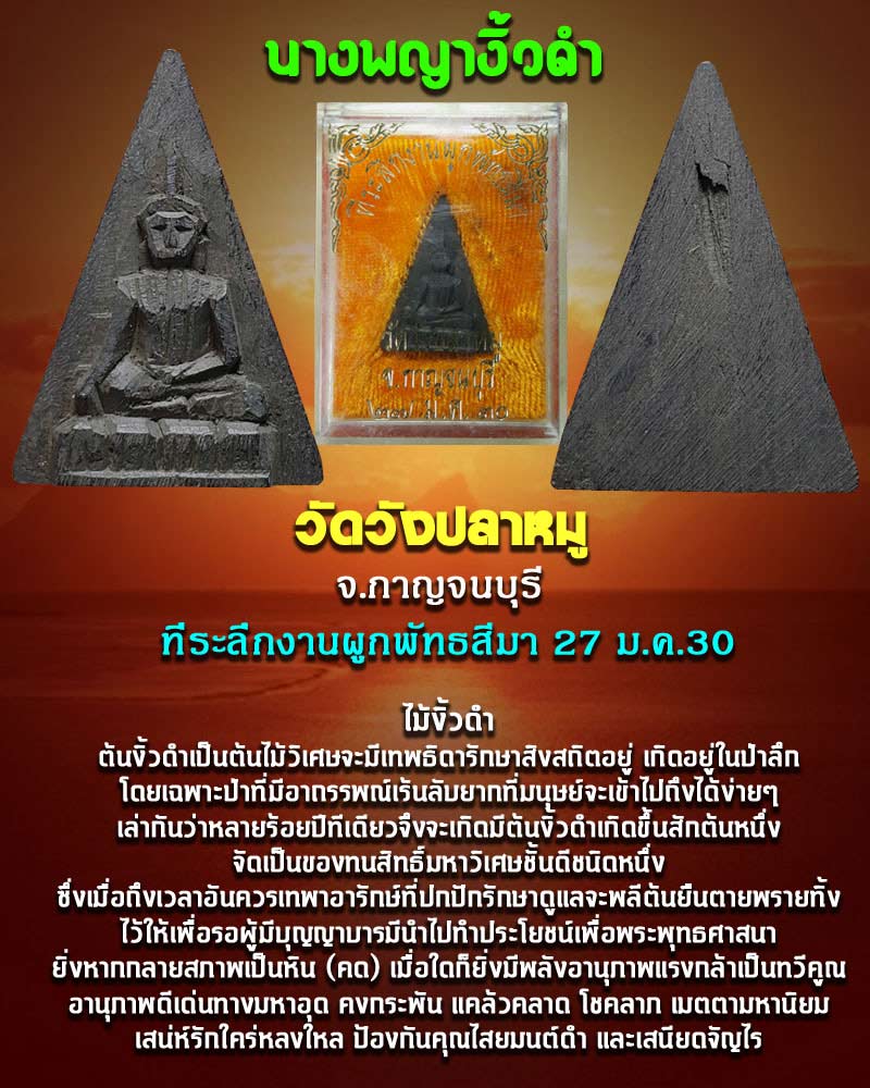 นางพญา งิ้วดำ วัดวังปลาหมู - 1