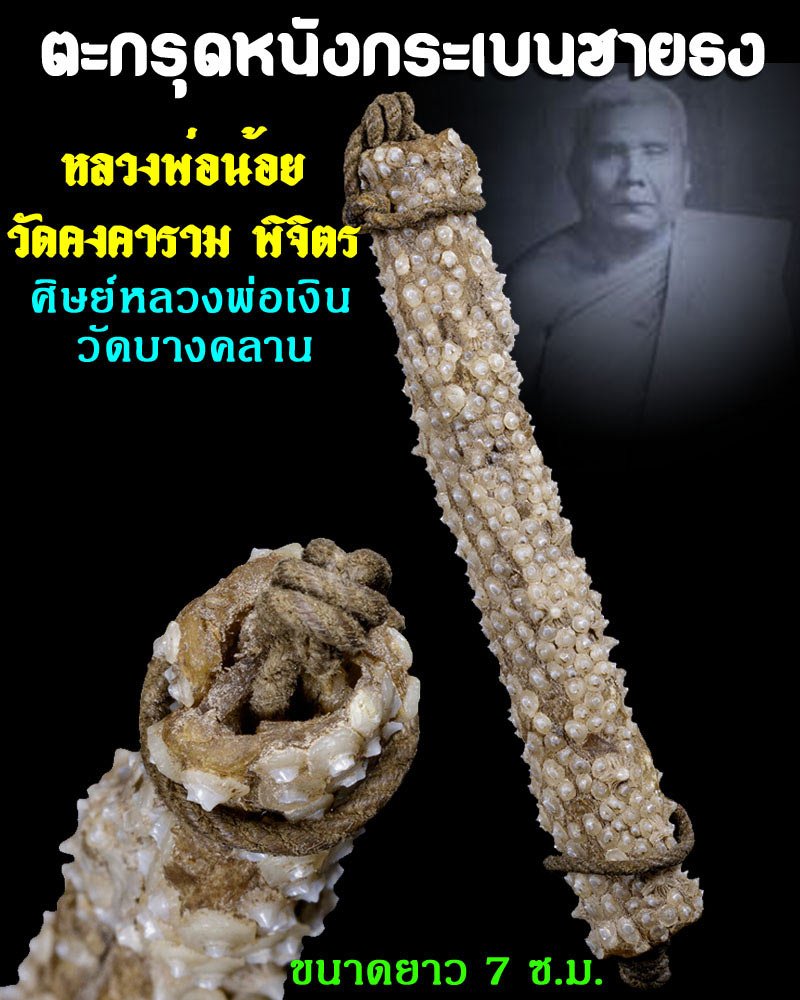 ตะกรุดหนังกระเบนธง หลวงพ่อน้อย วัดคงคาราม จ.พิจิตร - 1
