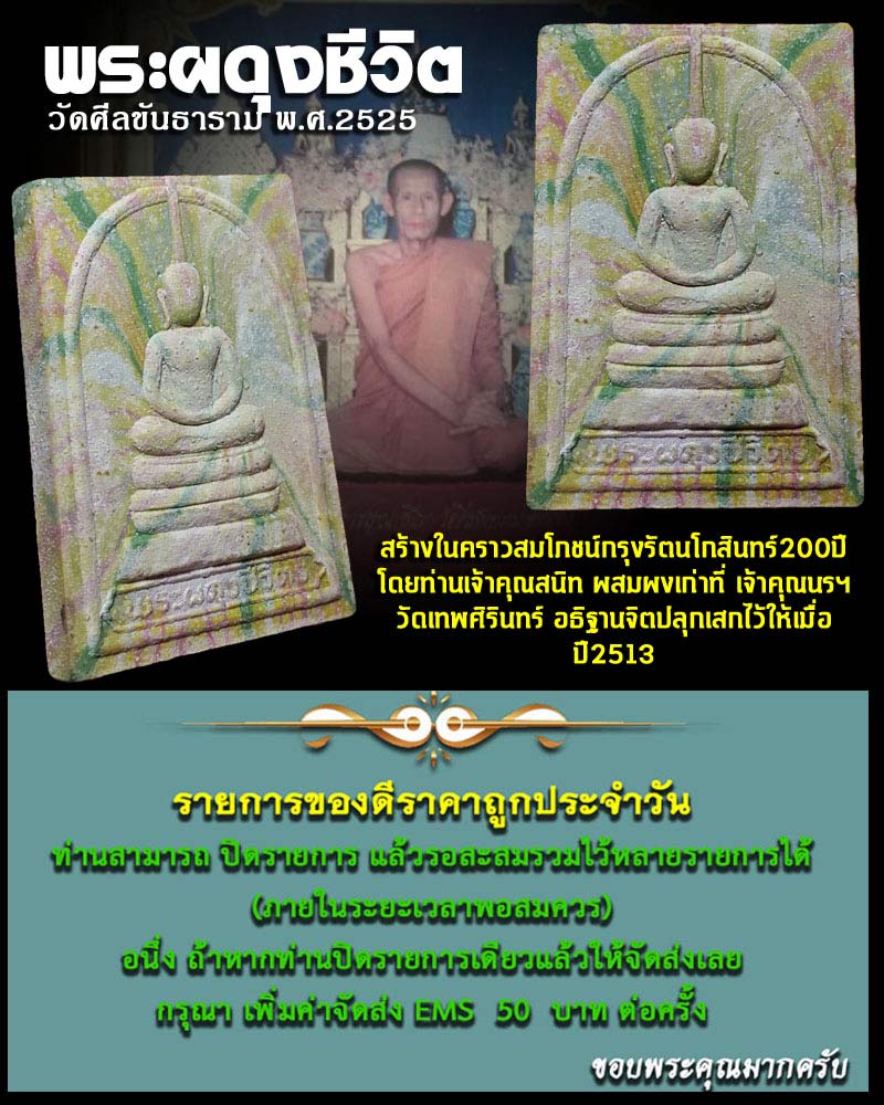 พระผดุงชีวิต วัดศีลขันธาราม 2 - 1