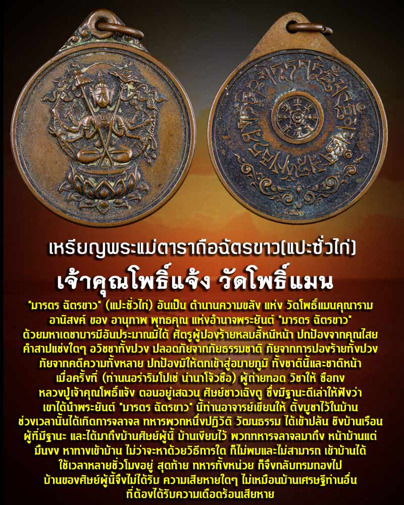 เหรียญพระแม่ตาราถือฉัตรขาว(แปะซั่วไก่) เจ้าคุณโพธิ์แจ้ง วัดโพธิ์แมน - 1