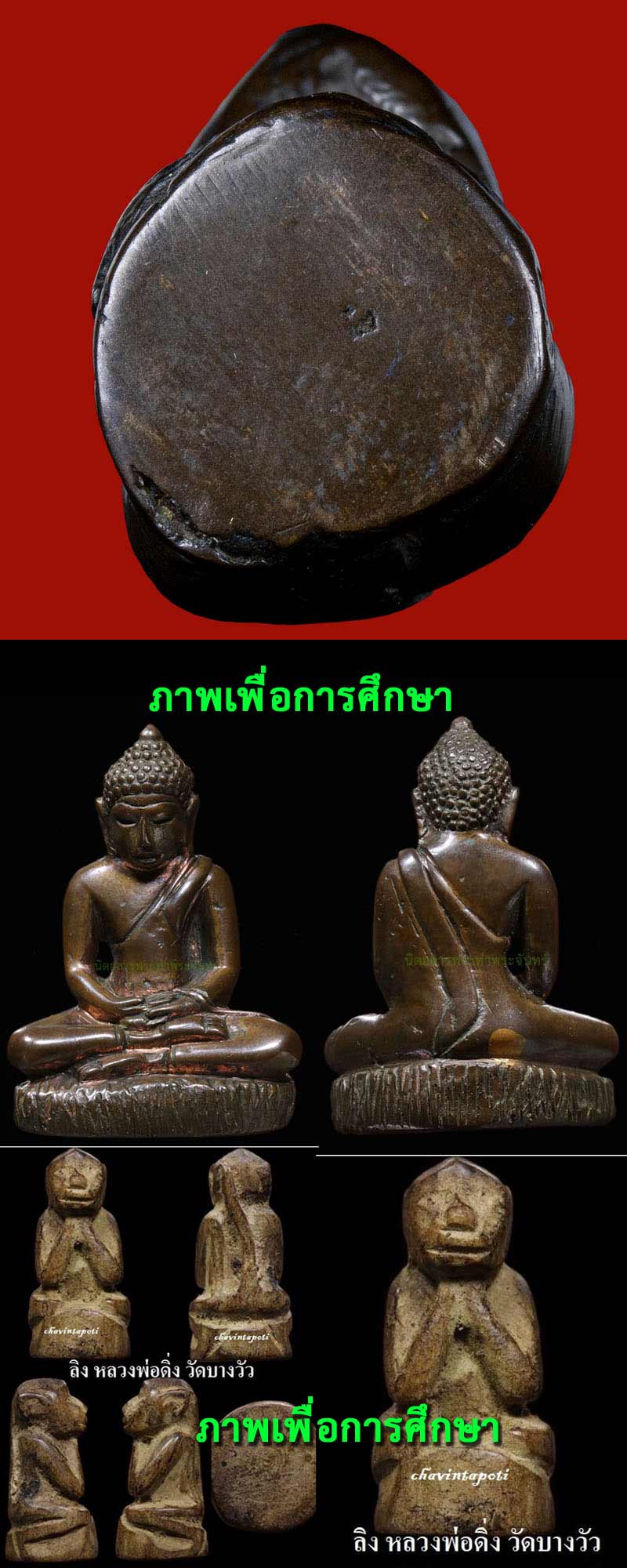 ลิง - 5