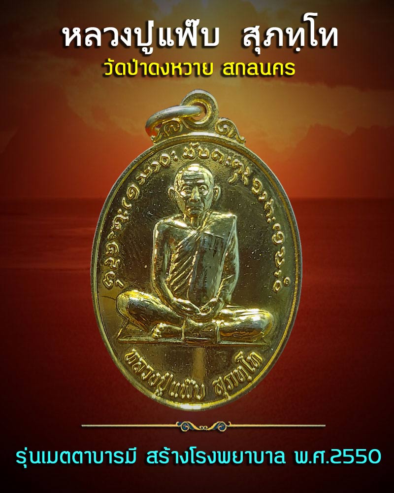เหรียญ หลวงปู่แฟ้บ สุภัทโท วัดป่าดงหวาย - 1