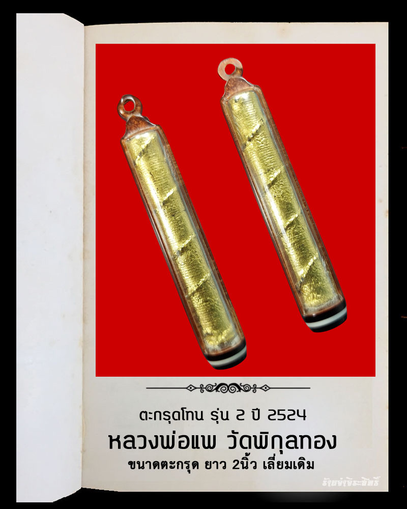 ตะกรุดโทน รุ่น 2 หลวงพ่อแพ วัดพิกุลทอง ปี 24 - 2