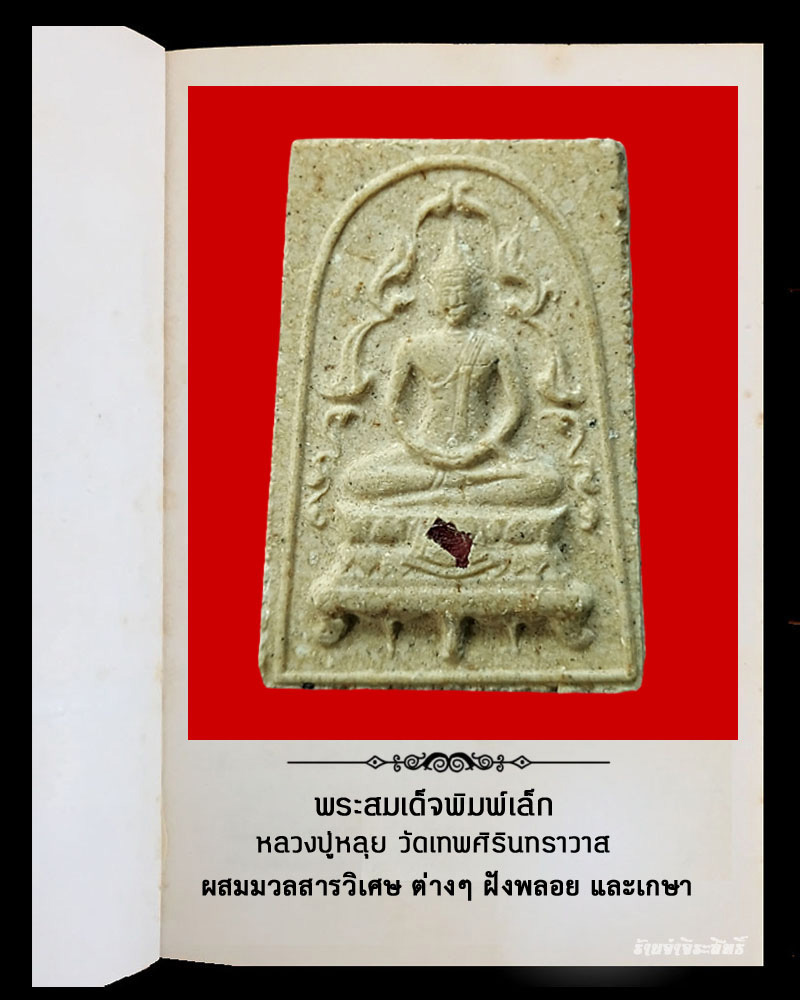 พระสมเด็จพาหิยเถร หลวงปู่หลุย วัดเทพศิรินทร์ ปี 2516 - 2