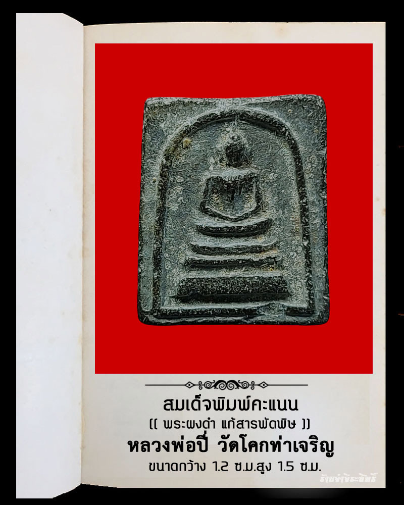 สมเด็จคะแนน หลวงพ่อ ปี่ วัดโคกท่าเจริญ จ.ชลบุรี - 2