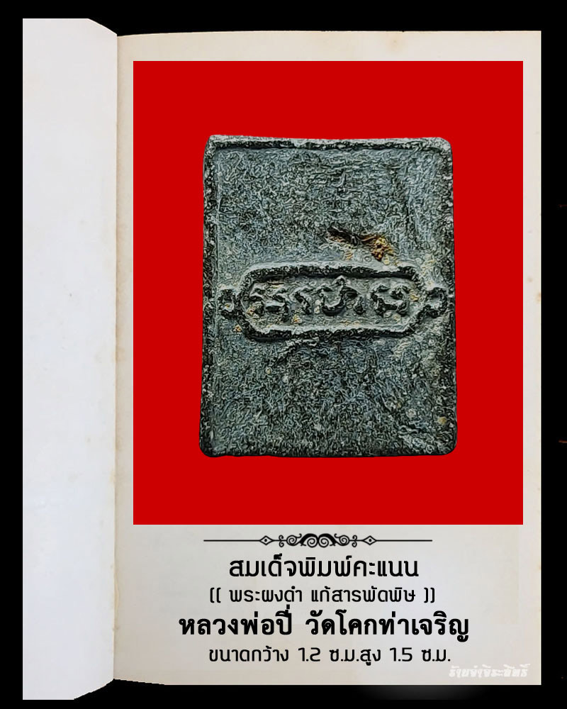 สมเด็จคะแนน หลวงพ่อ ปี่ วัดโคกท่าเจริญ จ.ชลบุรี - 3