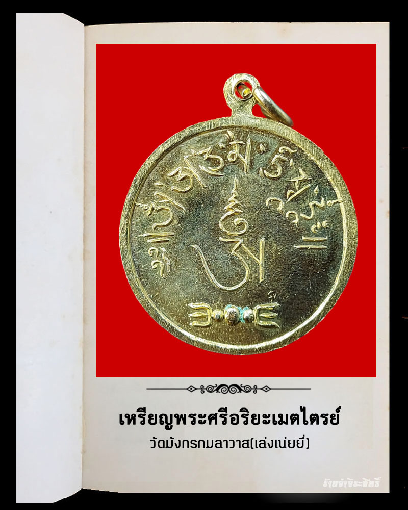 เหรียญพระศรีอริยะเมตไตรย์ วัดมังกรกมลาวาส(เล่งเน่ยยี่) - 3