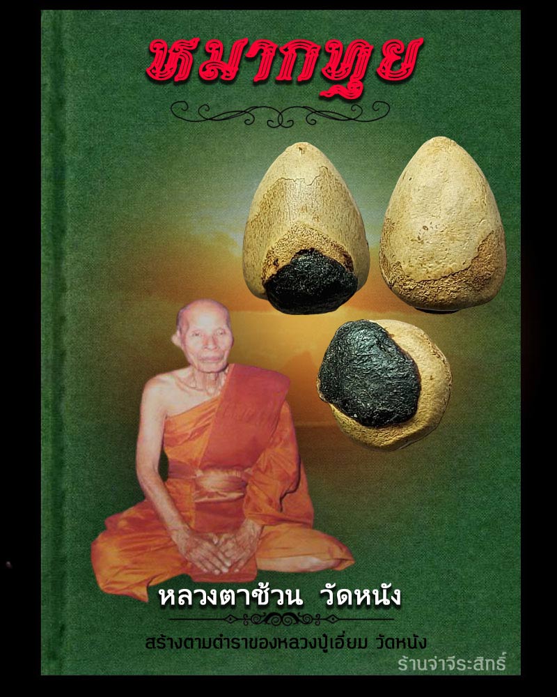 หมากทุย หลวงตาช้วน วัดหนัง 1 - 1