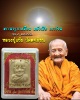 พระผงรูปเหมือนหลังเสือ รุ่น2 หลวงปู่แย้ม วัดตะเคียน