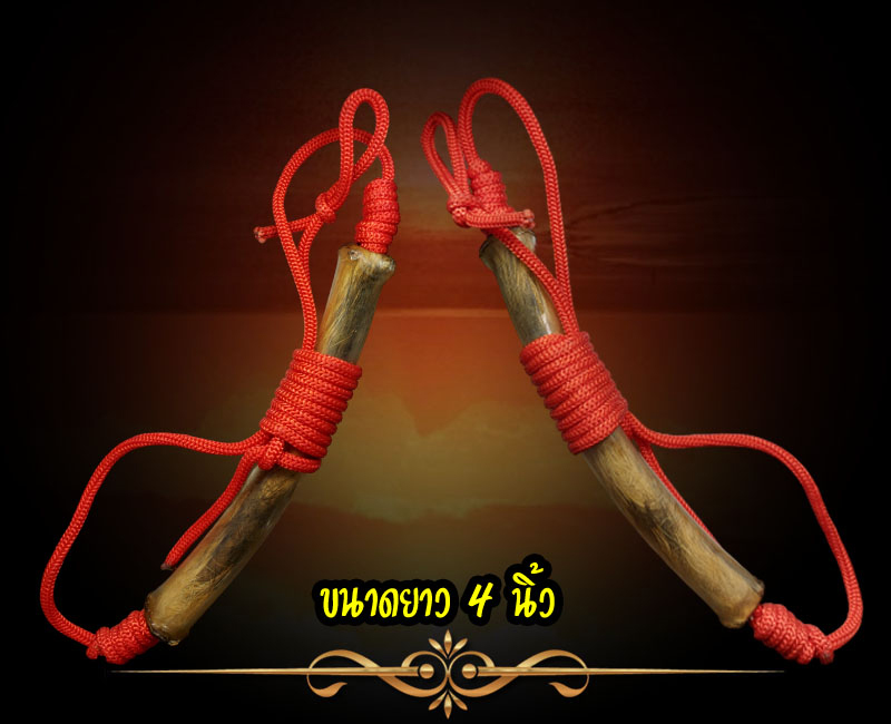 ตะกรุดหนังเสือ หลวงพ่อเที่ยง วัดพระพุทธบาทเขากระโดง บุรีรัมย์ - 2