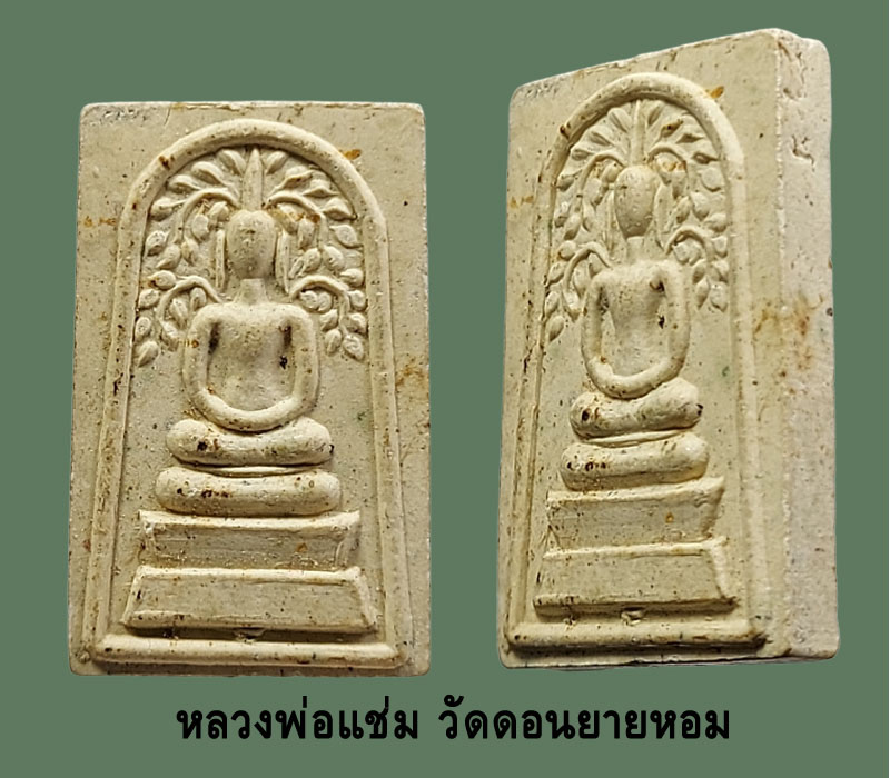 พระสมเด็จปรกโพธิ์ชินปัญชร หลวงพ่อแช่ม วัดดอนยายหอม - 3