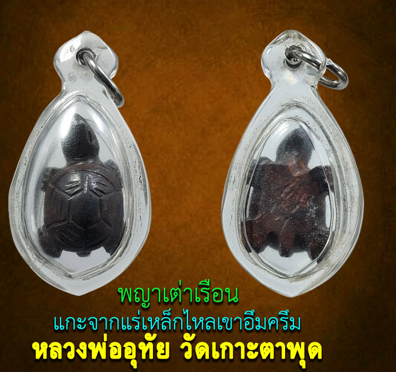 พญาเต่าเรือน  หลวงพ่ออุทัย  วัดศรีมฤคทายวัน (เกาะตาพุด) จ.ราชบุรี - 2