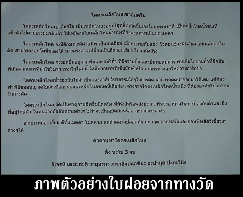 พญาเต่าเรือน  หลวงพ่ออุทัย  วัดศรีมฤคทายวัน (เกาะตาพุด) จ.ราชบุรี - 3