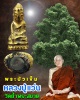 พระบัวเข็ม หลวงปู่แว่น วัดถ้ำพระสบาย