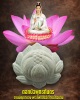 ดอกบัวพุทธทันดร 