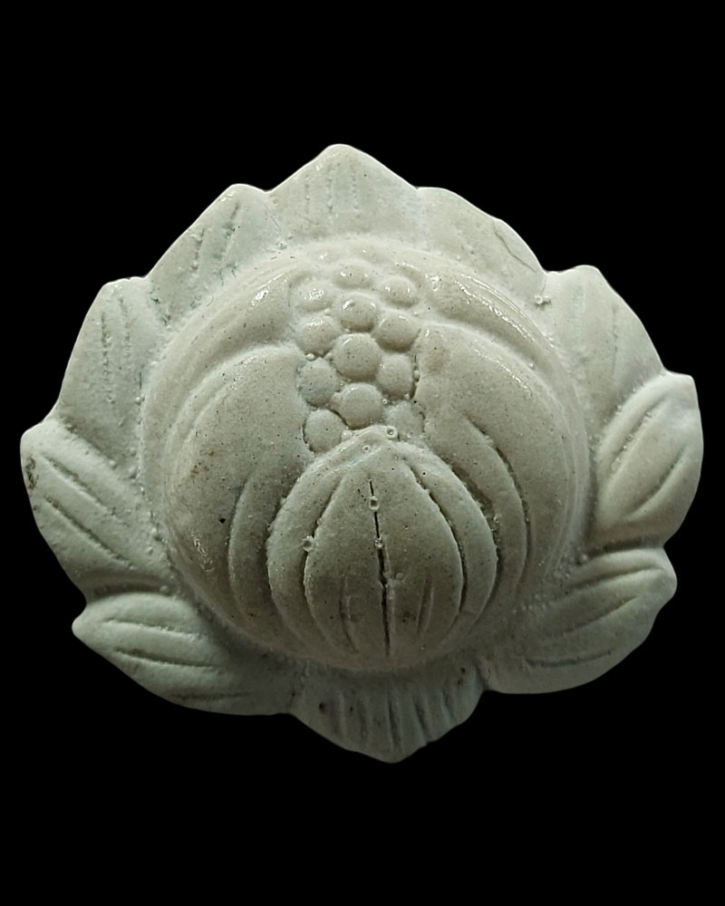ดอกบัวพุทธทันดร - 2