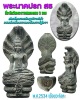 พระนาคปรก สธ  กรมสมเด็จพระเทพ ฯ พ.ศ.2534