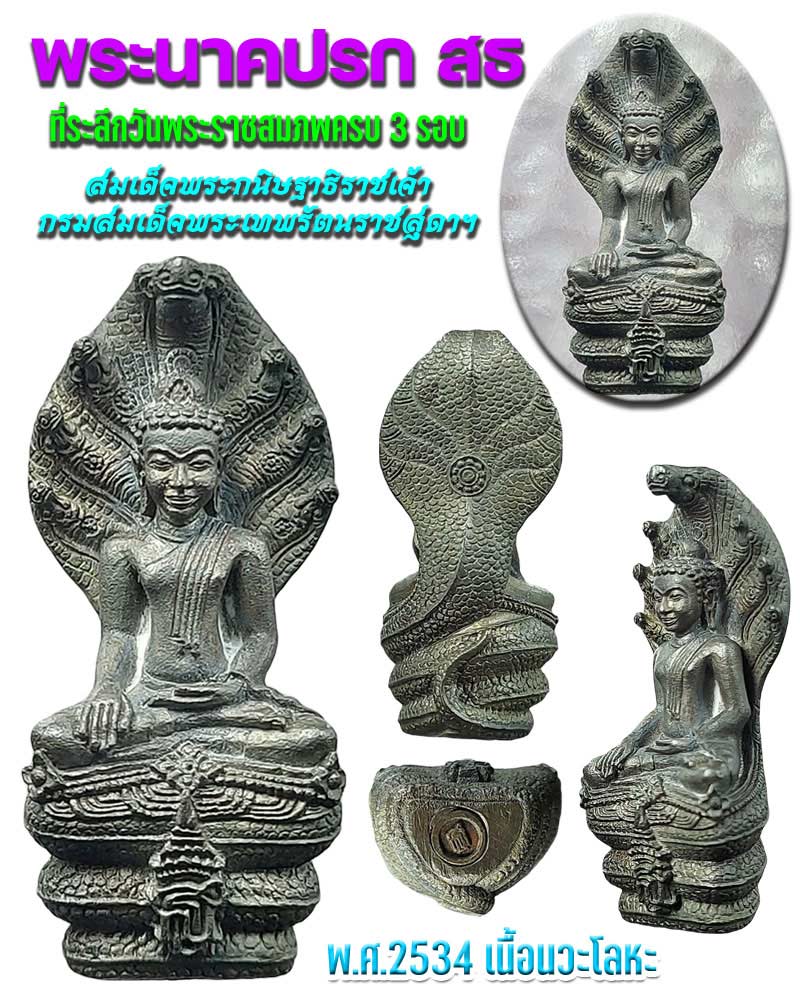 พระนาคปรก สธ กรมสมเด็จพระเทพ ฯ พ.ศ.2534 - 1
