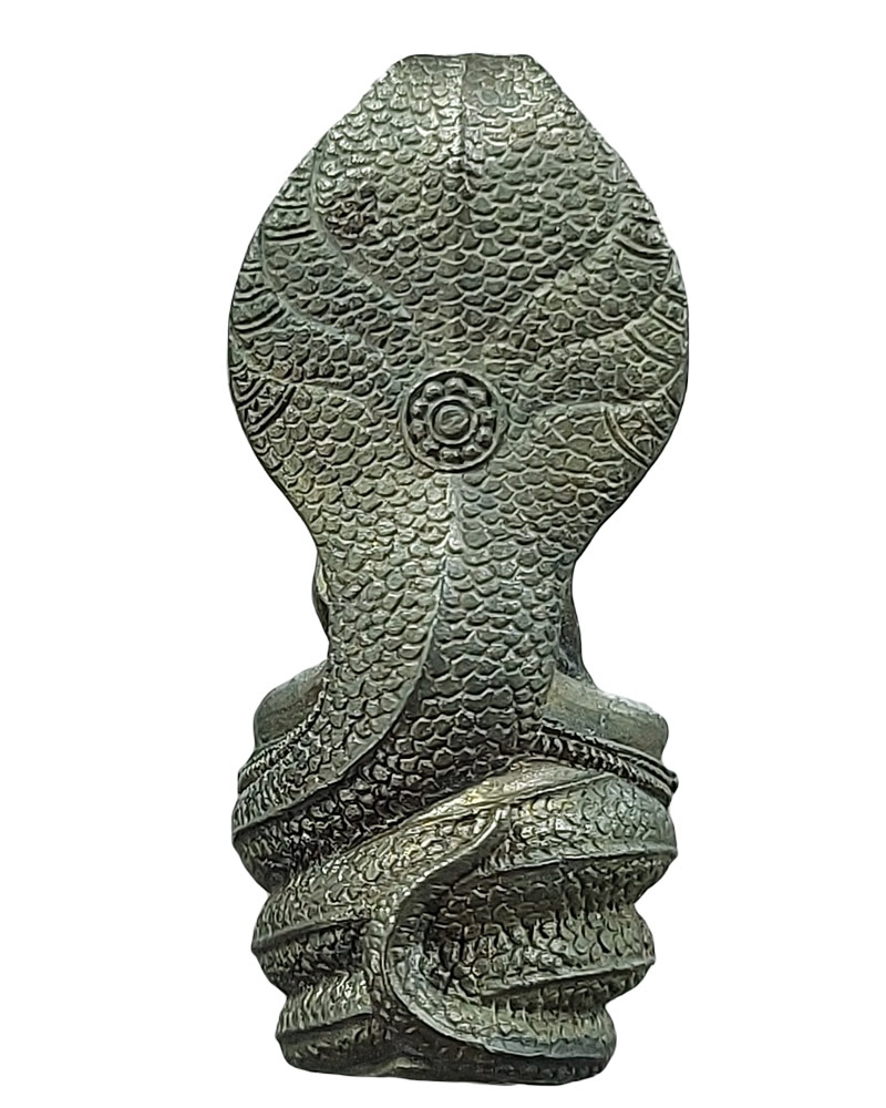 พระนาคปรก สธ กรมสมเด็จพระเทพ ฯ พ.ศ.2534 - 3