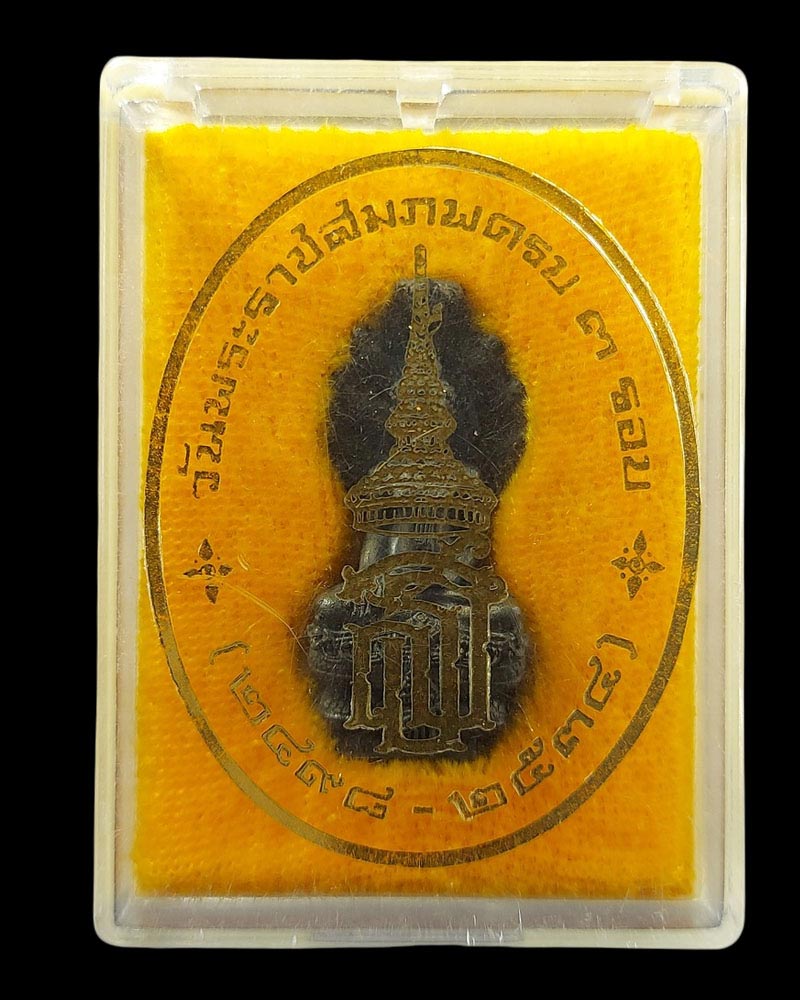 พระนาคปรก สธ กรมสมเด็จพระเทพ ฯ พ.ศ.2534 - 5